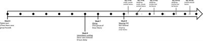 Development of flank lesions in growing pigs after weaning: A case study